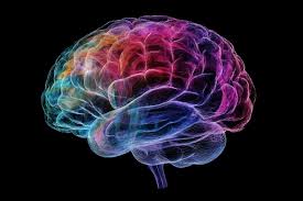 How Can Neuroscience Be Used To Inform Leadership?